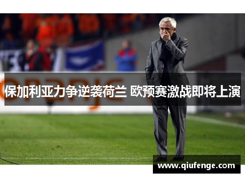 保加利亚力争逆袭荷兰 欧预赛激战即将上演